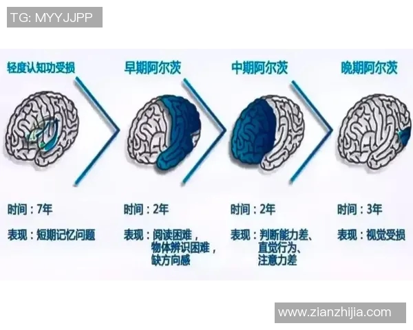 海等海默与纽伦堡的对决分析与战术探讨 海等海默与纽伦堡的对决分析与战术探讨