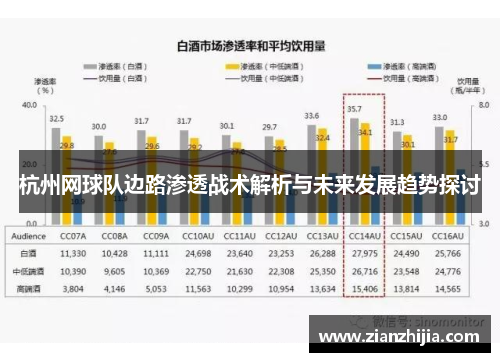 杭州网球队边路渗透战术解析与未来发展趋势探讨