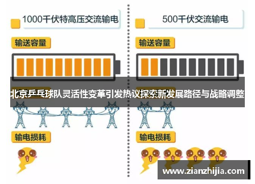 北京乒乓球队灵活性变革引发热议探索新发展路径与战略调整