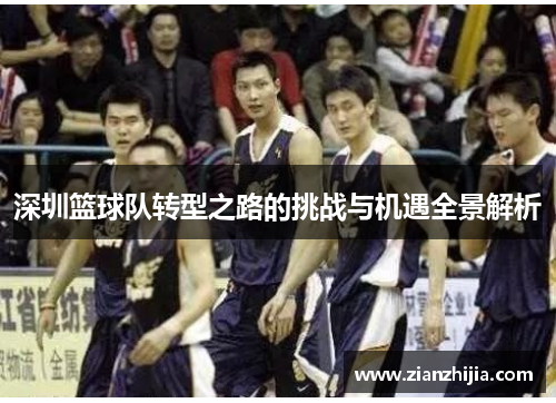深圳篮球队转型之路的挑战与机遇全景解析